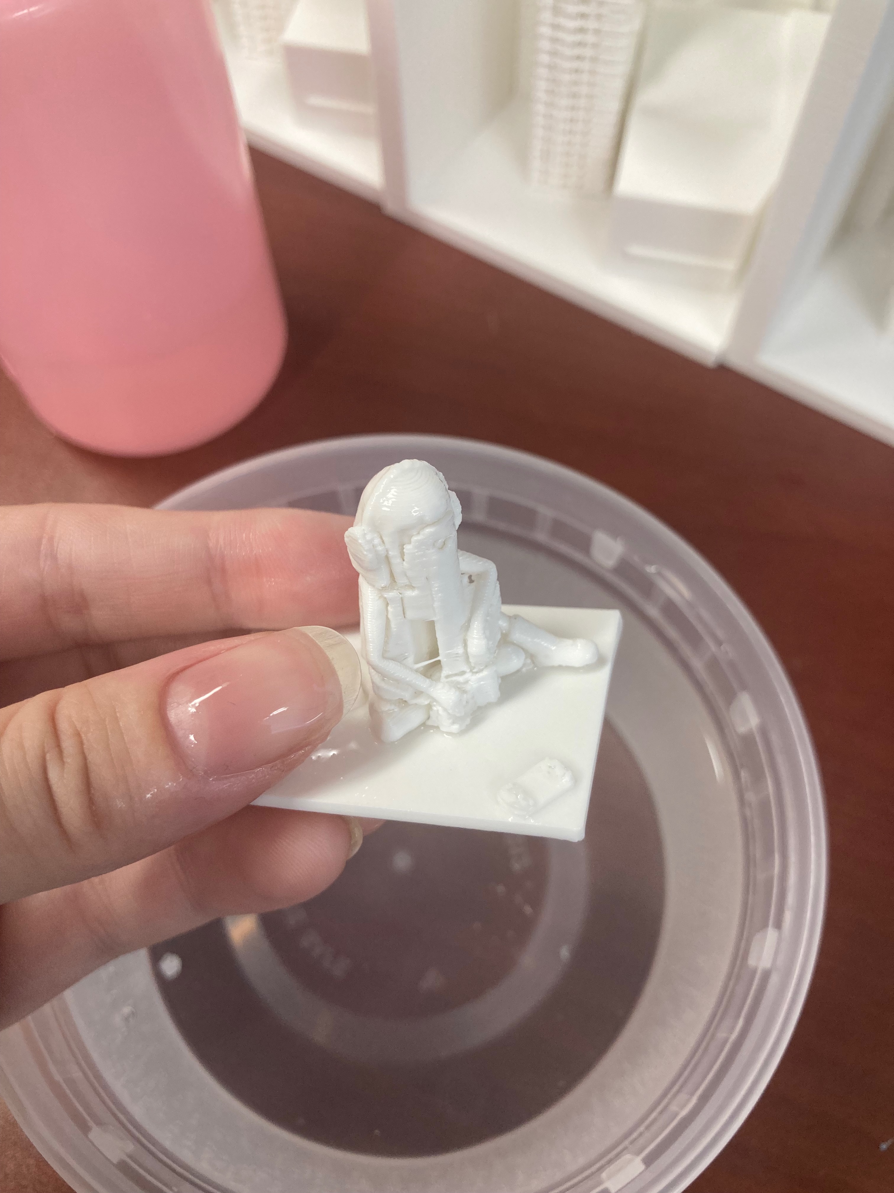 printed figure after PVA bath
