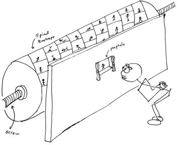sketch of a spiral zoetrope
